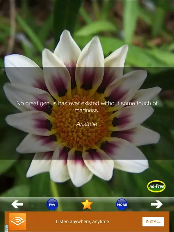 Tangkapan skrin Daily Inspirational Wisdom and Motivational Quotes iPad 