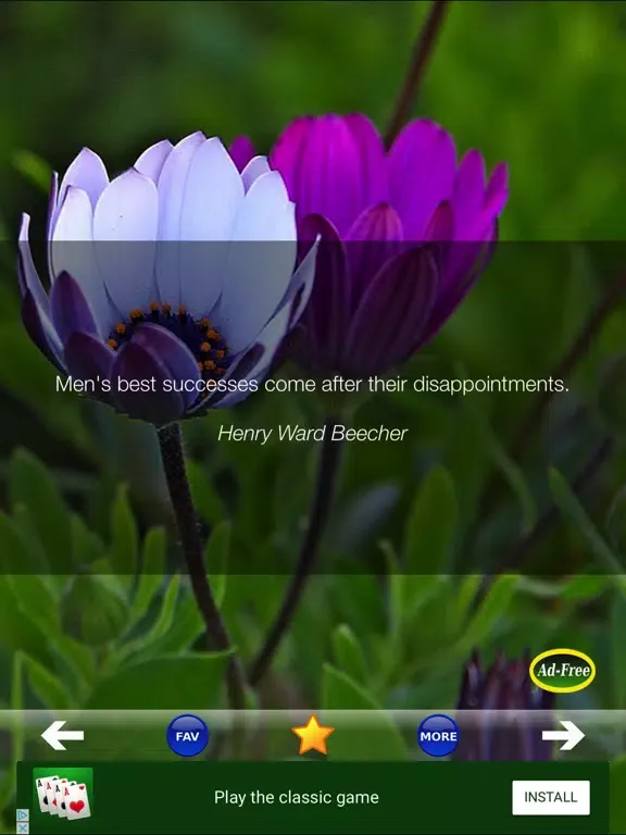 Tangkapan skrin Daily Inspirational Wisdom and Motivational Quotes iPad 