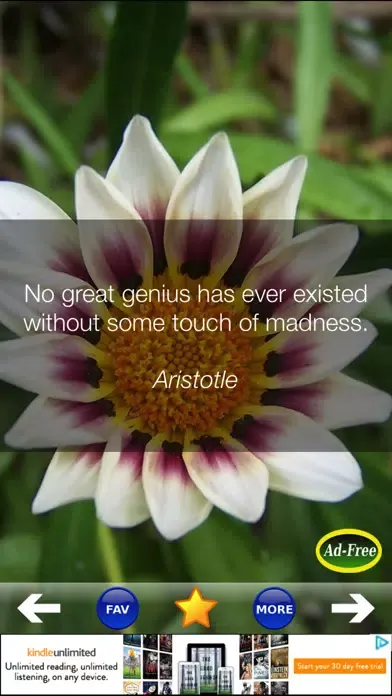 Tangkapan skrin Daily Inspirational Wisdom and Motivational Quotes