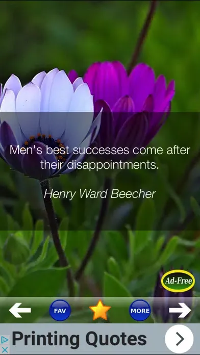 Tangkapan skrin Daily Inspirational Wisdom and Motivational Quotes