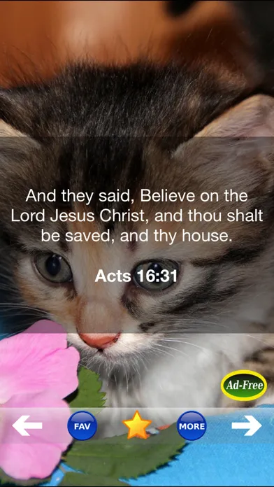 Bible Study for Kids FREE! Inspirational Verse of the Day App With Daily Devotionals & Inspirations!應用截圖
