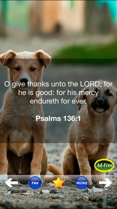 Bible Study for Kids FREE! Inspirational Verse of the Day App With Daily Devotionals & Inspirations!應用截圖