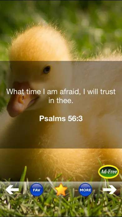 Bible Study for Kids FREE! Inspirational Verse of the Day App With Daily Devotionals & Inspirations!應用截圖