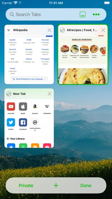 RedApp Web Browser Ekran Görüntüleri