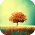 Awesome-Land Live wallpaper HD