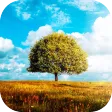Awesome-Land 2 live wallpaper
