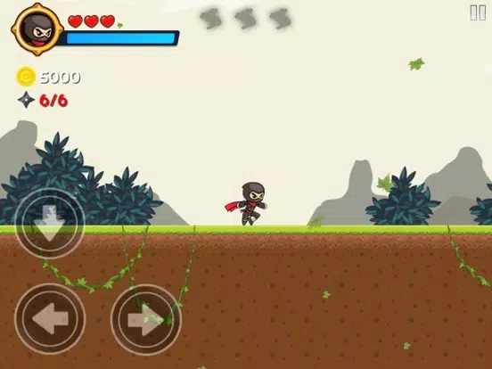صور Ninja Warrior : Save Princess iPad 