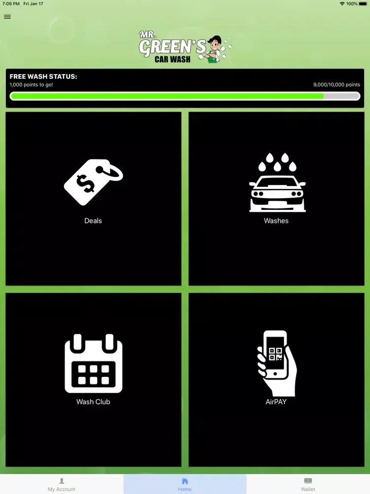 Captures d'écran de Mr. Green's Car Wash iPad 