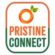 Pristine Connect Pristine Connect