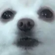Gabe The Dog SoundBoard Gabe The Dog SoundBoard