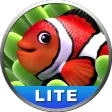 Aquarium Screensaver Lite
