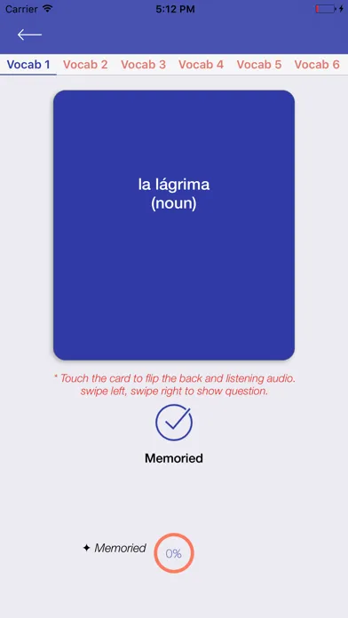 Spanish Vocabulary スクリーンショット