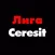 Лига Ceresit