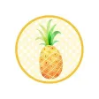 Fun Pineapple Summer