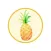 Fun Pineapple Summer