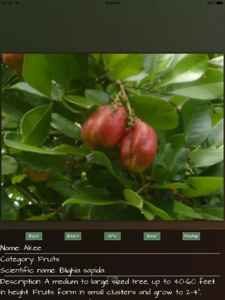 Скриншоты Fruits Great Puzzle iPad 
