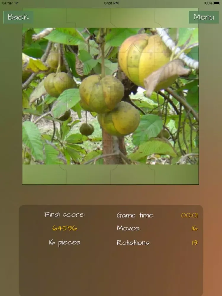 Скриншоты Fruits Great Puzzle iPad 