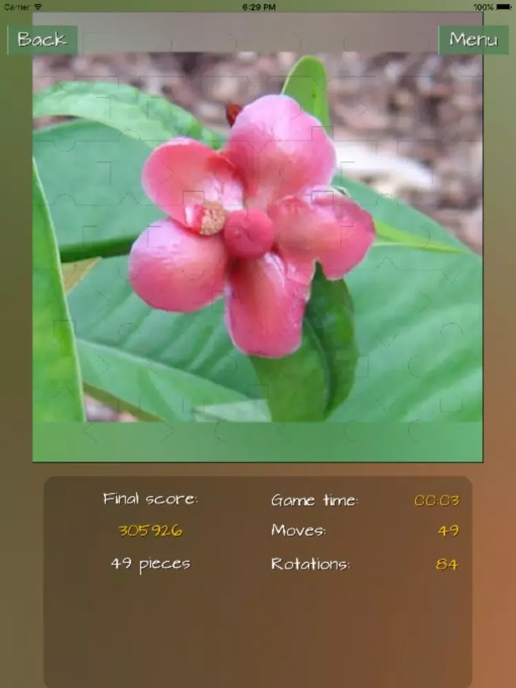 Скриншоты Fruits Great Puzzle iPad 