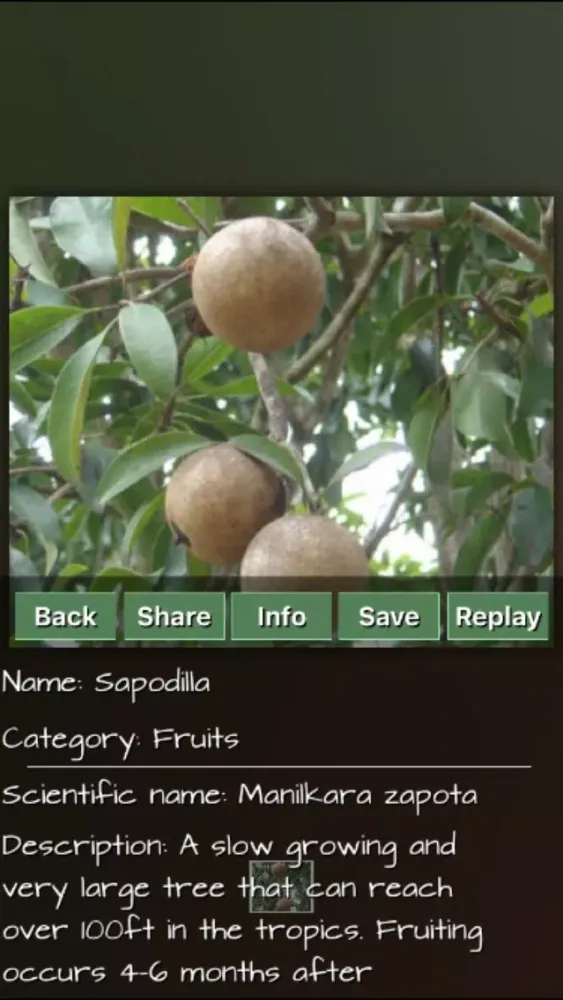 Скриншоты Fruits Great Puzzle