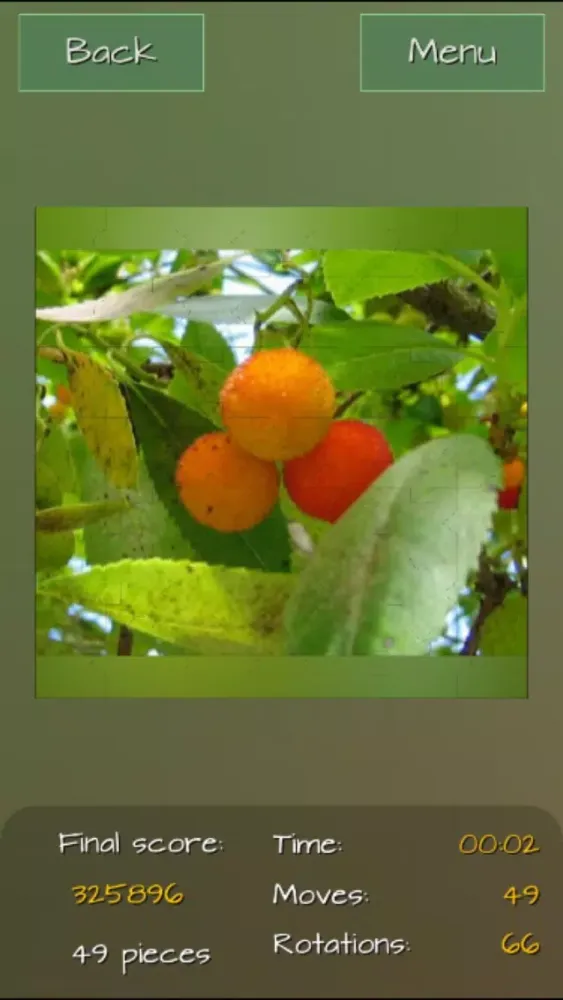 Скриншоты Fruits Great Puzzle