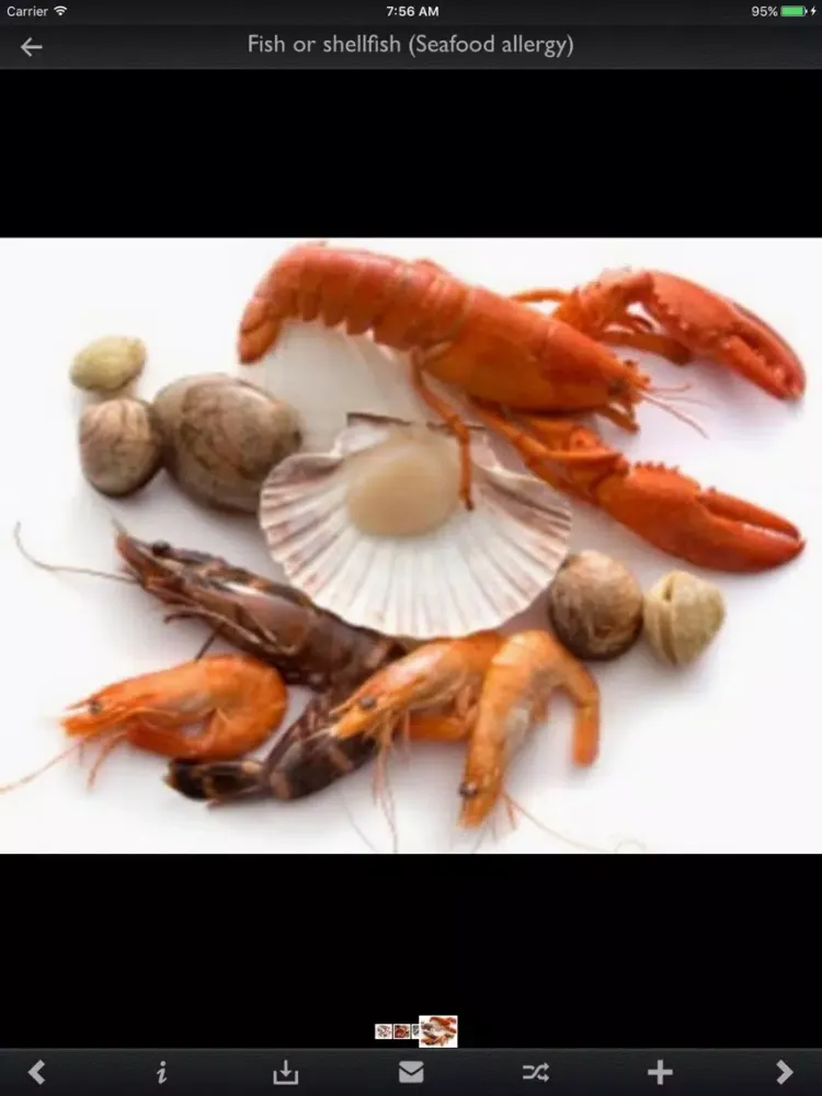 Capturas de tela do List of Allergens Guide iPad 