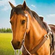 Horse Simulator Riding Game 3D Horse Simulator Riding Game 3D