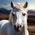 Stable Horse Riding Games 2024