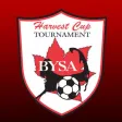 Harvest Cup Harvest Cup