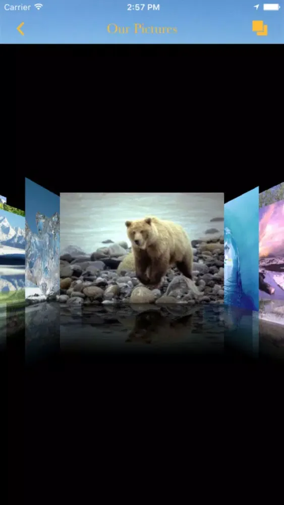 Knik Glacier Tours應用截圖