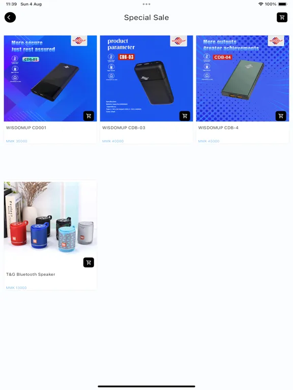 Ảnh chụp màn hình của MSN Ecommerce iPad 