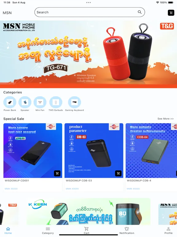 Ảnh chụp màn hình của MSN Ecommerce iPad 