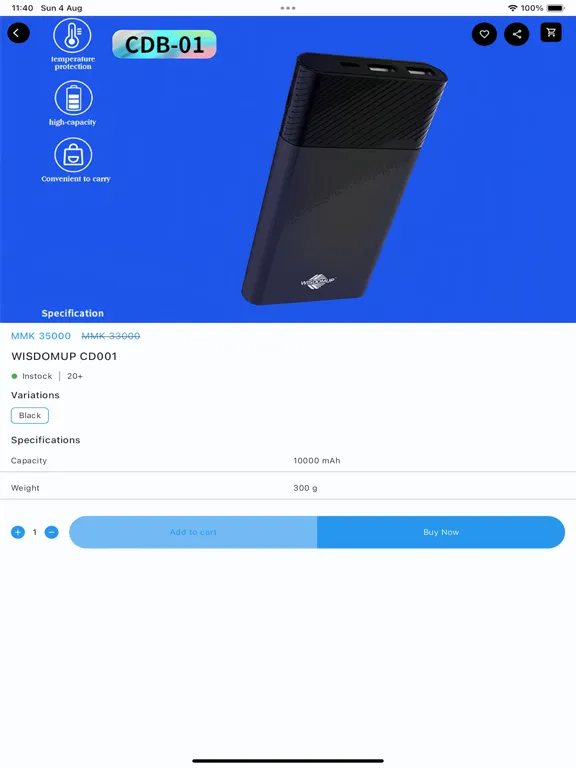 Ảnh chụp màn hình của MSN Ecommerce iPad 