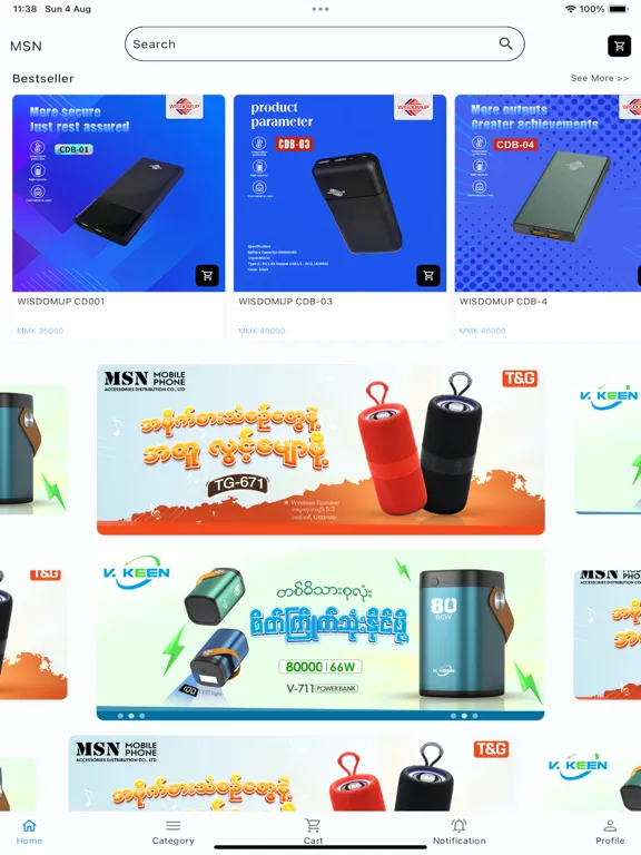 Ảnh chụp màn hình của MSN Ecommerce iPad 