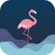 Flamingo Hyper Market Flamingo Hyper Market