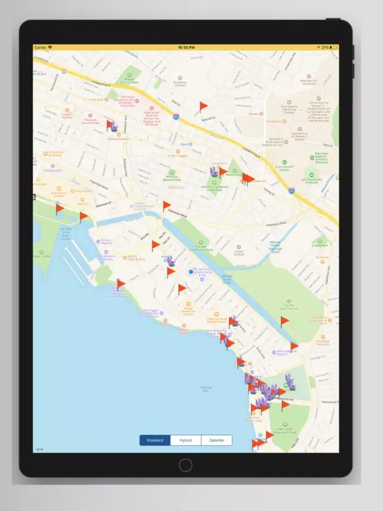 Скриншоты Artworks: Honolulu iPad 