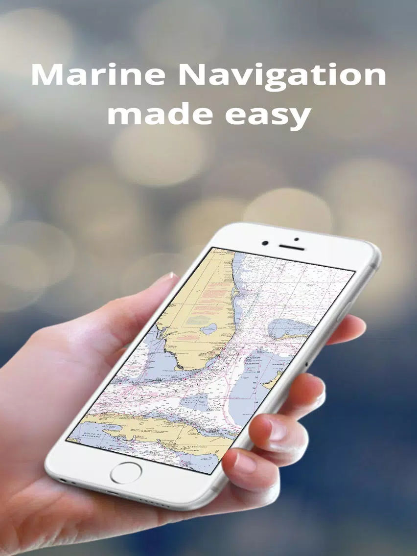 Marine Charts Online iPad 應用截圖