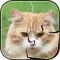 Little Kitty Jigsaw Puzzle - Kitty Games