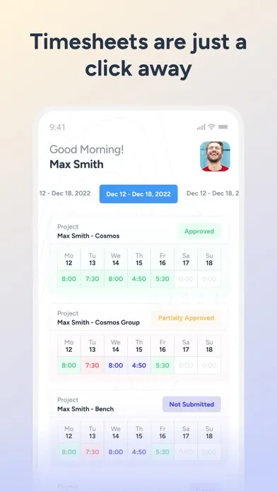 MSR Timesheets Screenshots