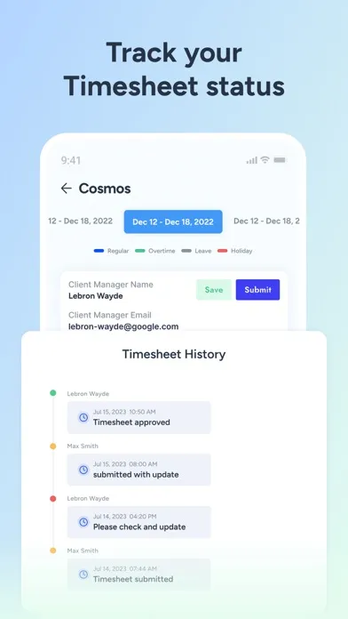 MSR Timesheets Screenshots