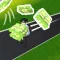 Simple Life Sim