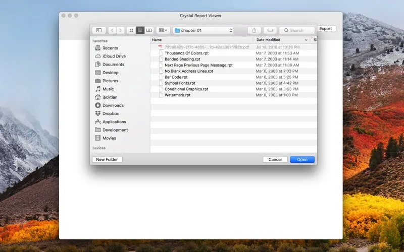Crystal Report Viewer Screenshots