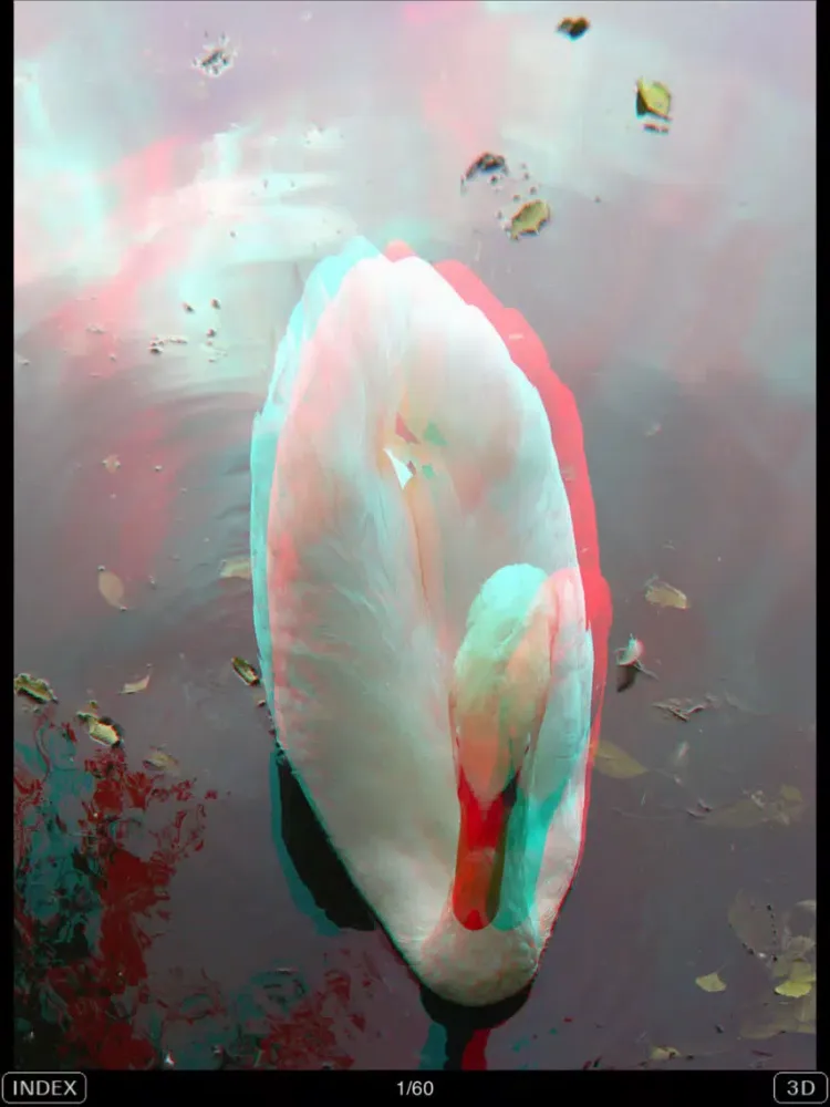 3D Popup Swan iPad  Screenshots