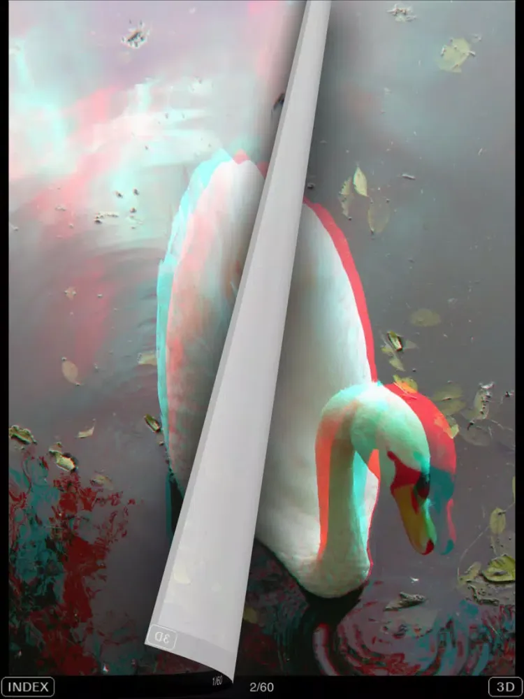 3D Popup Swan iPad  Screenshots
