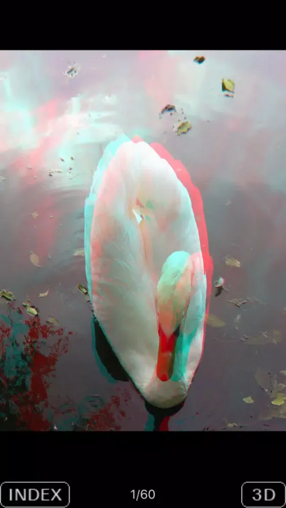3D Popup Swan Screenshots