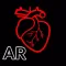 AR Human heart – A glimpse