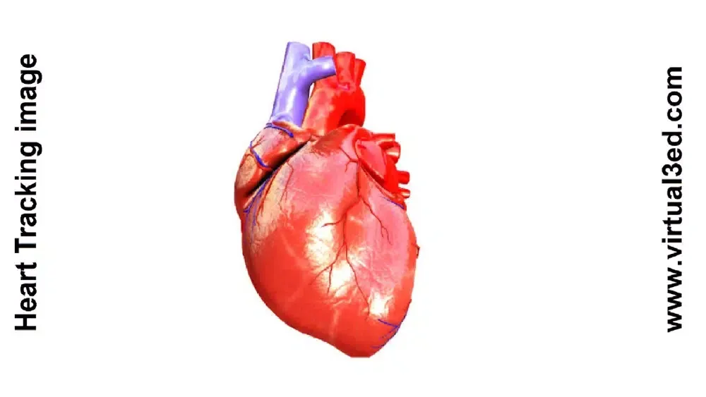 Скриншоты AR Human heart – A glimpse