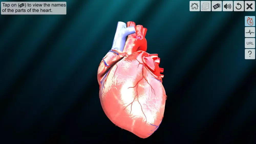 Скриншоты AR Human heart – A glimpse
