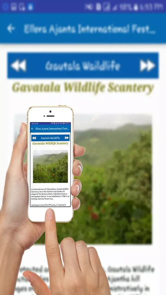 Ellora Festival Screenshots