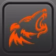 WolfPack MMA
