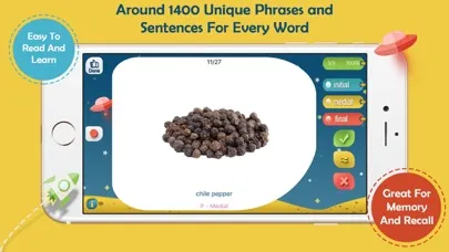 تصاویر Articulation Essentials
